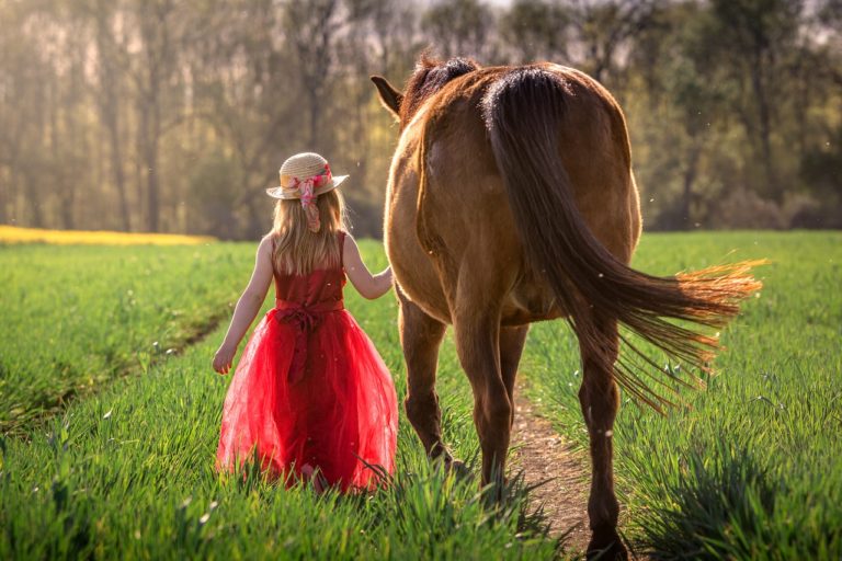 girl, horse, friendship