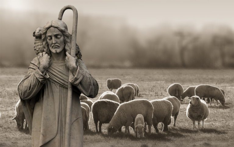 Jesus Christ - Shepard, we are all sheep